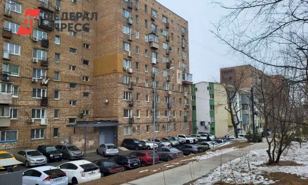 София Любимова и Владимир Попов дают советы по покупке вторички-0