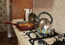 Сотни домов в Нижнем Тагиле переводят на газ благодаря программе «Чистый воздух» sotni domov v nizhnem tagile perevodyat na gaz blagodarya programme chistyj vozduh-news-blog-ru-0