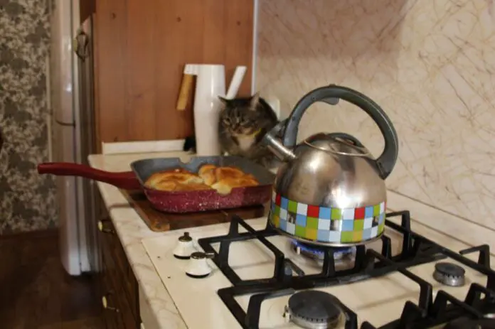 Сотни домов в Нижнем Тагиле переводят на газ благодаря программе «Чистый воздух»-0