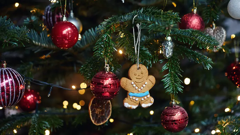 Украшенная ёлка в этом году обойдётся россиянам в среднем в 4808 рублей