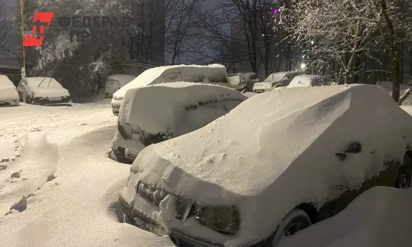 Восстановление Хабаровского края после циклона включает аэропорт и электросети-0