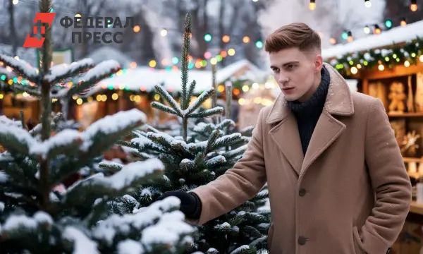 Яндекс Браузер предупреждает о фиктивных ёлках для защиты от мошенников-0