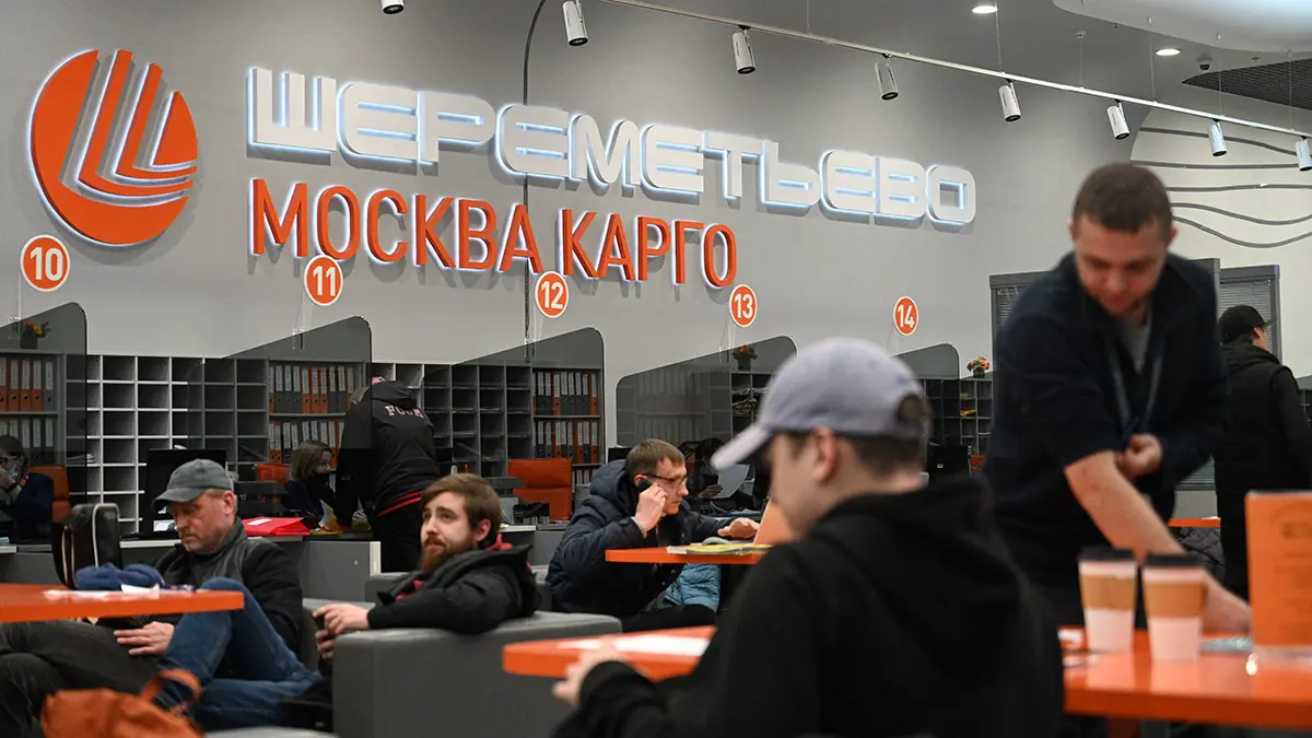 Свыше половины застрявшего багажа вернули пассажирам аэропорта Шереметьево