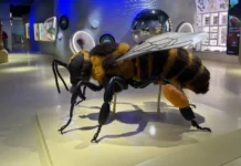 entomologicheskaya laboratoriya i bioklaster na vdnh polza moskvicham-news-blog-ru-0