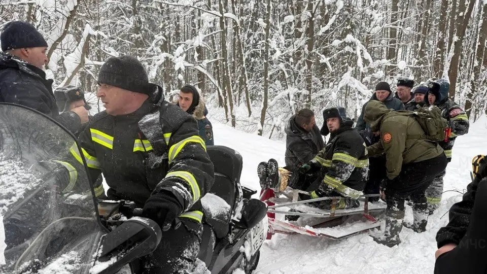 Двое мужчин потерялись в лесу Орехово-Зуево глубокой ночью