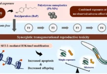 Нанопластик и бутилпарабен влияют на Caenorhabditis elegans nanoplastik i butilparaben vliyayut na -news-blog-ru-0