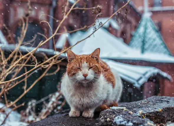 Фото: primamedia.ru