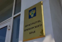 Проверка прокуратуры: инцидент на озере с черепахами во Владивостоке proverka prokuratury inczident na ozere s cherepahami vo vladivostoke-news-blog-ru-0