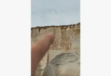 Рыбаки в Сифорд-Хед увидели неожиданный праздник жизни rybaki v sifordhed uvideli neozhidannyj prazdnik zhizni-news-blog-ru-0