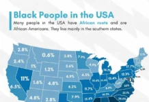 Южные штаты США и округ Колумбия лидируют по численности афроамериканского населения yuzhnye shtaty ssha i okrug kolumbiya lidiruyut po chislennosti afroamerikanskogo naseleniya-news-blog-ru-0