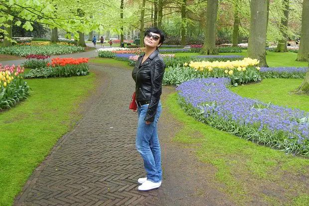 Вводная картинка