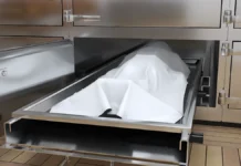 Андрей Кавецкий, Станислав Маслов разоблачили схему с биоматериалами andrej kaveczkij stanislav maslov razoblachili shemu s biomaterialami-news-blog-ru-0