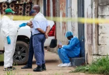 Исчезновение Лорны Максорли в ЮАР и мечта о парке Крюгер ischeznovenie lorny maksorli v yuar i mechta o parke kryuger-news-blog-ru-0