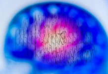 Нейросеть СПб ФИЦ РАН точно определяет эмоции по ЭЭГ для Минобрнауки nejroset spb ficz ran tochno opredelyaet emoczii po eeg dlya minobrnauki-news-blog-ru-0