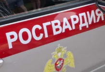 Оптимизм в лечении пациент петербургской больницы получил помощь optimizm v lechenii paczient peterburgskoj bolniczy poluchil pomoshh-news-blog-ru-0