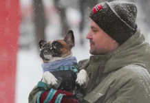 Татьяна Позднякова сообщила о скором отступлении морозов в Москве tatyana pozdnyakova soobshhila o skorom otstuplenii morozov v moskve-news-blog-ru-0