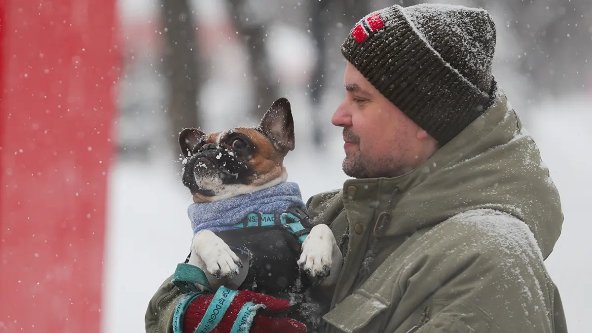 Когда в Москве закончатся февральские морозы