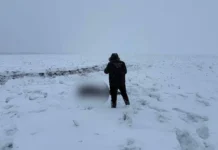 Тракторист нашел подростка в поле у саратовского села Привольное traktorist nashel podrostka v pole u saratovskogo sela privolnoe-news-blog-ru-0