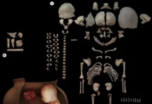 Уникальные захоронения в Чапарабад обнаружили археологи Ирана unikalnye zahoroneniya v chaparabad obnaruzhili arheologi irana-news-blog-ru-0