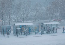 Владивосток в снегу – СГТ привлек 169 единиц техники vladivostok v snegu sgt privlek 169 edinicz tehniki-news-blog-ru-0