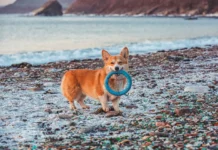 Какая погода ждет Приморье, Владивосток и Находку 19 марта kakaya pogoda zhdet primore vladivostok i nahodku 19 marta-news-blog-ru-0