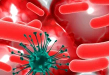 Полторак и ПетрГУ открыли механизм иммунной защиты poltorak i petrgu otkryli mehanizm immunnoj zashhity-news-blog-ru-0