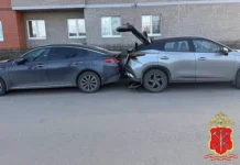 Управление МВД в СПб расследует инцидент на парковке, Ставрополь upravlenie mvd v spb rassleduet inczident na parkovke stavropol-news-blog-ru-0