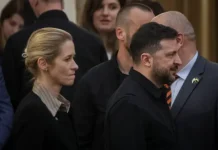 Зеленский и Каллас меняют расклад в ЕС. Сдержит ли Россия нажим zelenskij i kallas menyayut rasklad v es sderzhit li rossiya nazhim-news-blog-ru-0