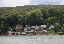 Дачники СНТ смогут защититься от новых схем мошенников dachniki snt smogut zashhititsya ot novyh shem moshennikov-news-blog-ru-0