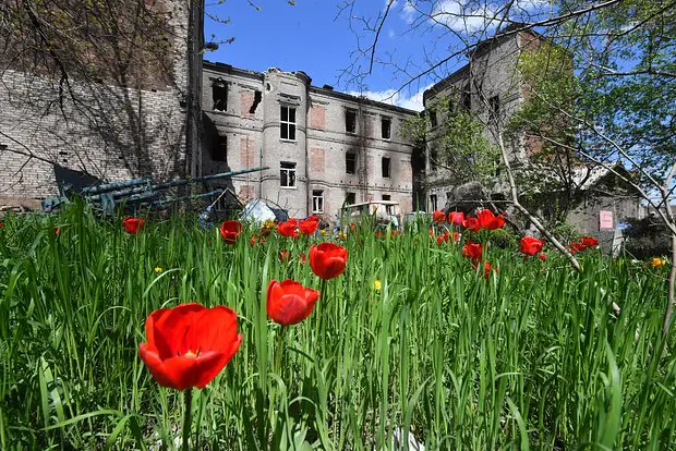 Вводная картинка