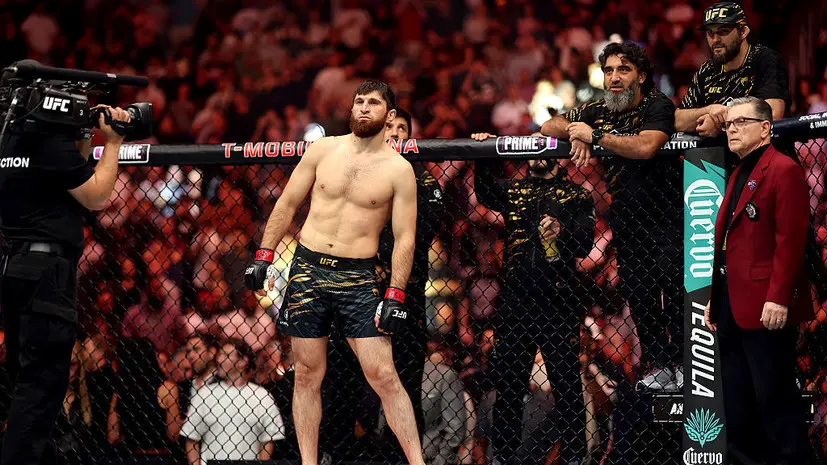 Анкалаев: Прохазка никогда по-настоящему не хотел со мной драться