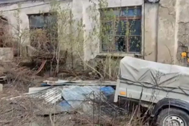 Вводная картинка