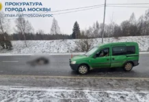 Прокуратура города контролирует дело о лосе, сбитом Opel в Зеленограде prokuratura goroda kontroliruet delo o lose sbitom v zelenograde-news-blog-ru-0