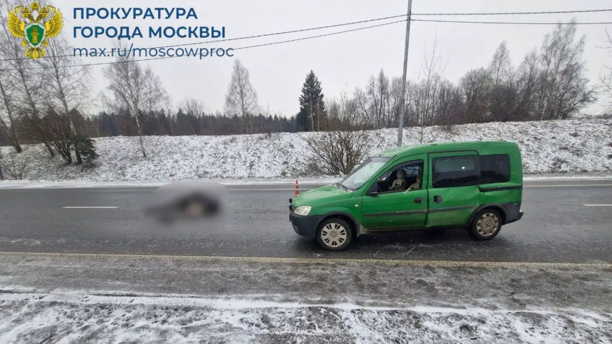 Прокуратура рассказала подробности ДТП в Зеленограде, где сбили лося