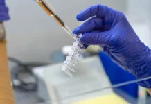 rospotrebnadzor oczenivaet risk ospy obezyan v rossii-news-blog-ru-0