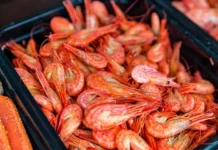 rosselhoznadzor primorskogo filiala proveril krevetki iz vetnama-news-blog-ru-0