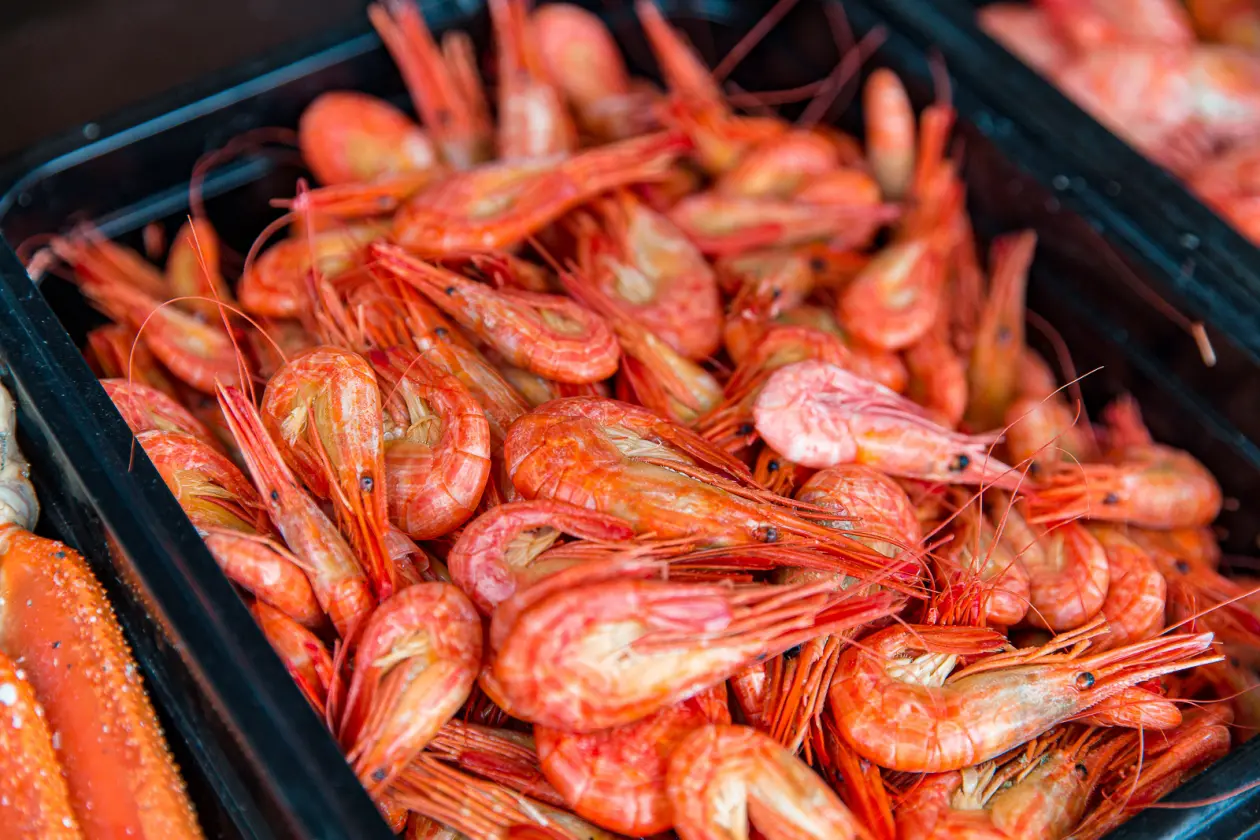 Фото: primamedia.ru