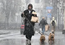 Специалисты Фобос оценили, когда в Москве закончится дождливая погода speczialisty fobos oczenili kogda v moskve zakonchitsya dozhdlivaya pogoda-news-blog-ru-0