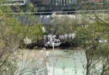 Более 12,6 тысячи кубических метров загрязненного грунта вывезли из Туапсе