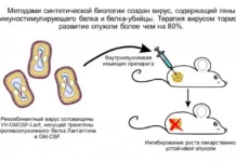 Ученые СО РАН разрабатывают противораковое средство ВВ-GMCSF-Lact uchenye so ran razrabatyvayut protivorakovoe sredstvo vv-news-blog-ru-0