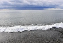 Оперштаб: загрязнений в акватории Чёрного моря вблизи порта Туапсе не обнаружено