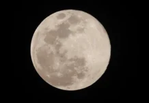 luna i venera vstretilis telecz siyaet sredi zvezd vecherom 18 maya-news-blog-ru-0