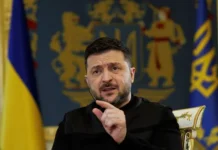 zelenskij nato i armando mema versii o sryvah peregovorov-news-blog-ru-0