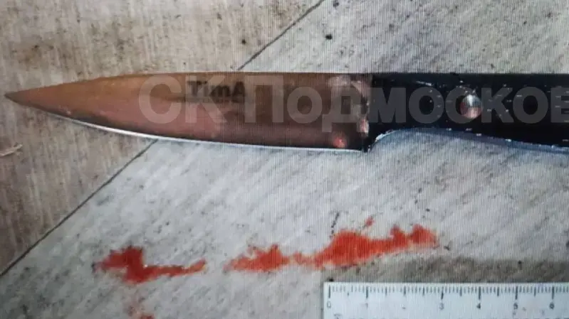 Мужчина зарезал жену в частном доме под Коломной