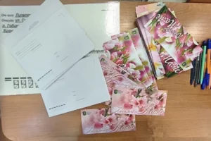 akademicheskij rajon ekaterinburga i shkola 19 zapustili 500 serdechnyh pisem ko dnyu materi-lessontime-ru-173225184500-0