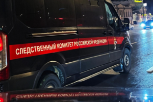 aleksandr bastrykin i skr obespechili bezopasnyj peshehodnyj perehod v kopejske-lessontime-ru-173436369500-0