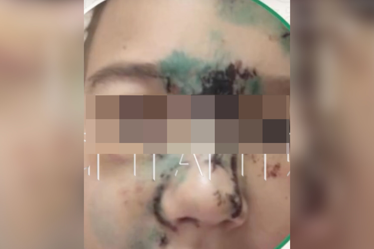 Дзержинск учит безопасности и радости общения с питомцами как шарпей и хозяйка собаки-0