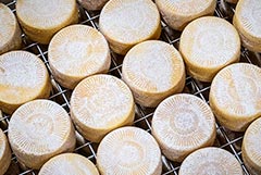 В России объем строительства многоквартирного жилья достиг пятилетнего пика