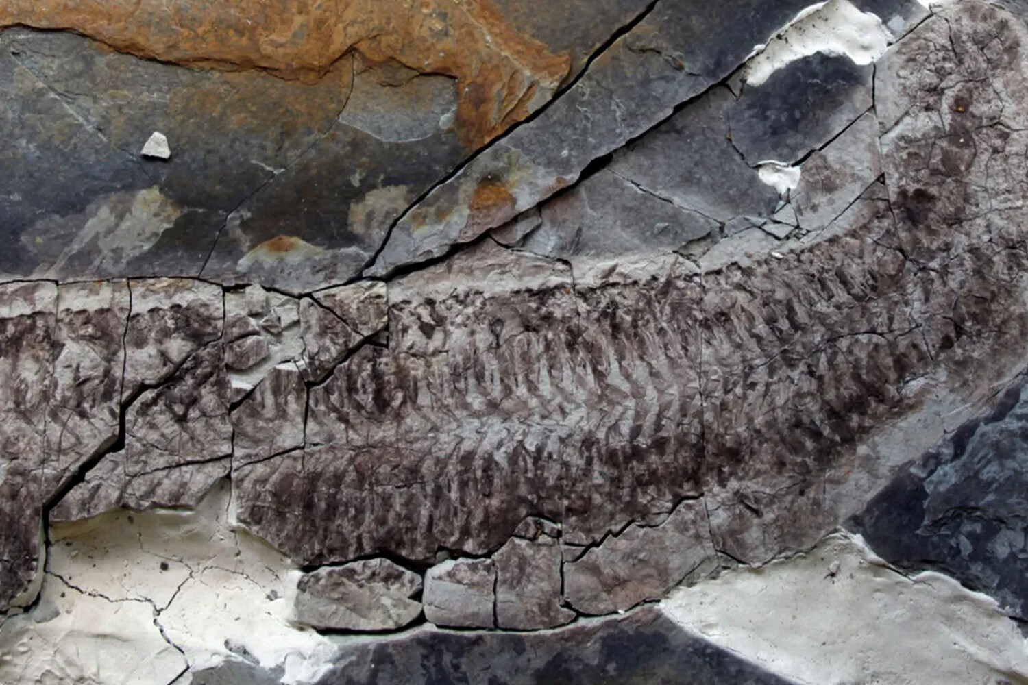 Удивительная находка Университета Лестера в Южной Африке открывает тайны древности-0