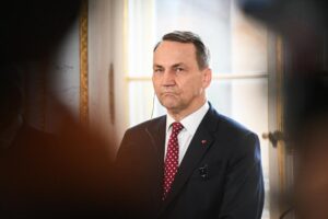 30 стран во главе с Польшей и НАТО готовы обеспечить мир на Украине вопреки позиции России 30 stran vo glave s polshej i nato gotovy obespechit mir na ukraine vopreki poziczii rossii-lessontime-ru-174358279000-0